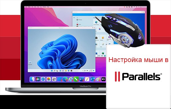 Как настроить мышь в Parallels Desktop